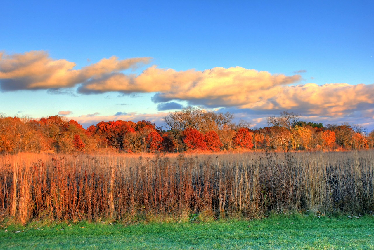 Seasons in the USA Weather and Climate