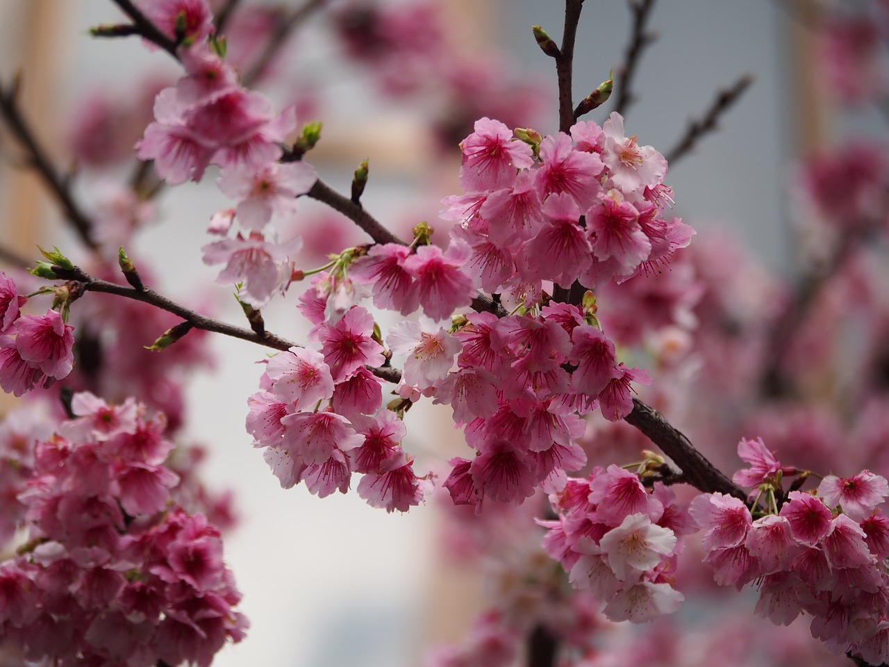 Seasons in Taiwan: Weather and Climate