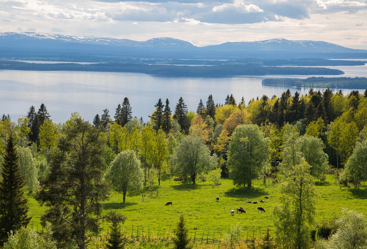 Nature Of Sweden Places Plants And Animals