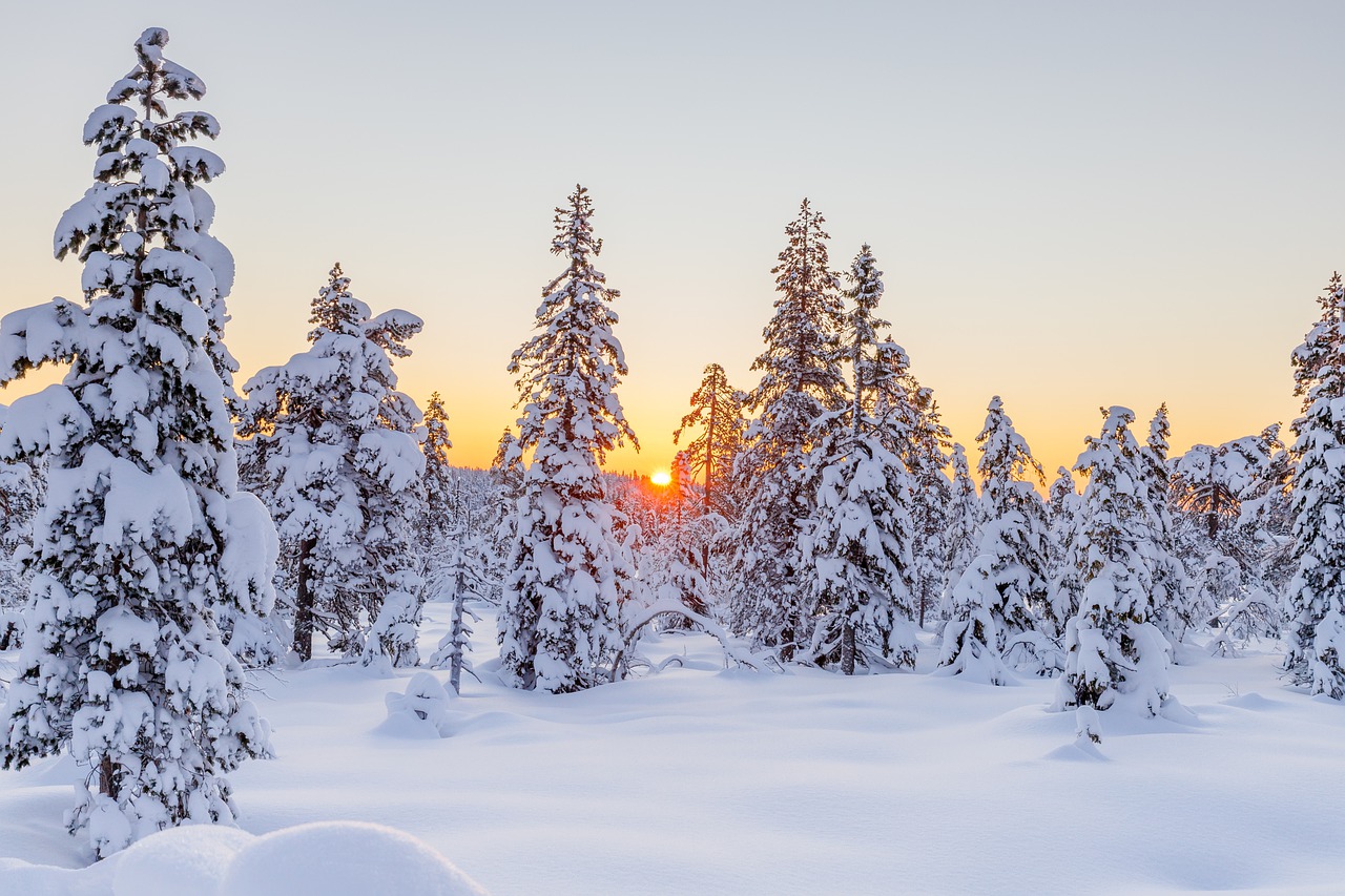 Winter Season: Nature, Flora and Fauna, Earth