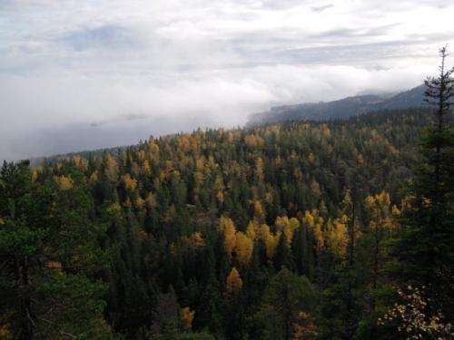 Koli National Park, Finland