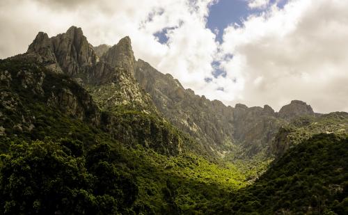 corsican nature