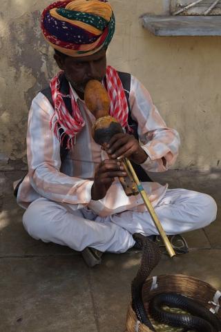 Indian snake charmer