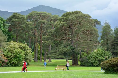 Killarney National Park