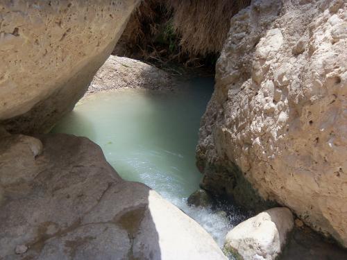 Ein Gedi