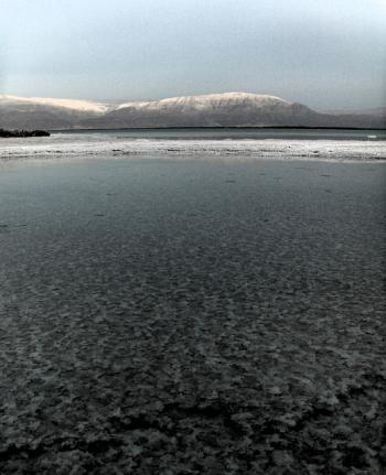 The Dead Sea