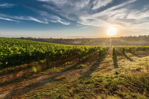 Plains of Tuscany