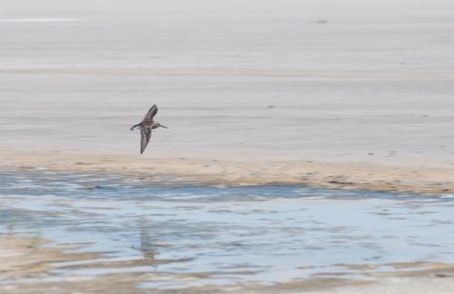 Lake Elton