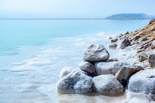 The Dead Sea