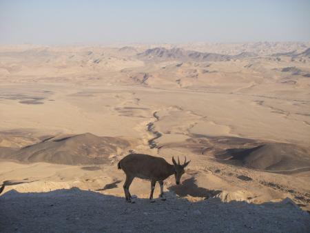 Desert, Mitzpe Ramon, Israel
