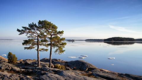 hellige pen Utålelig Finnish Nature: Places, Plants and Animals